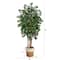 7ft. Sakaki Artificial Tree in Handmade Natural Jute and Cotton Planter